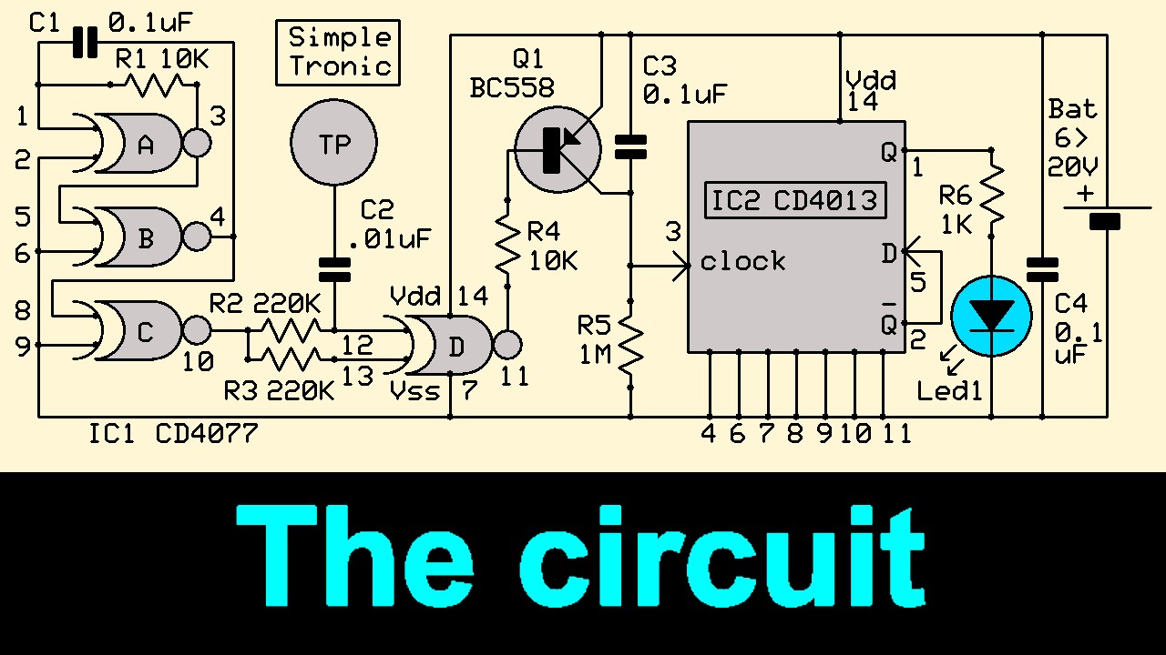 thecircuit.jpg