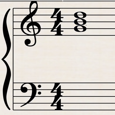tim888.png
