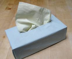 tissues.jpg