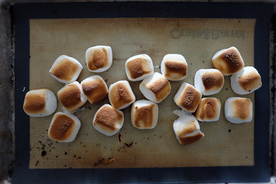 toasted marshmallows.jpg