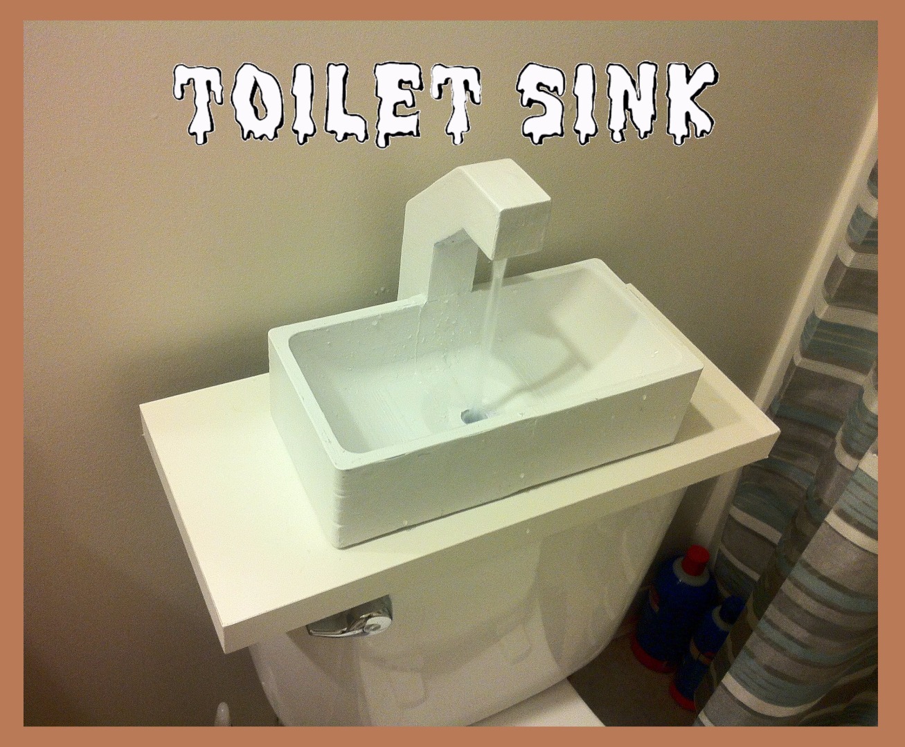 toilet sink.JPG