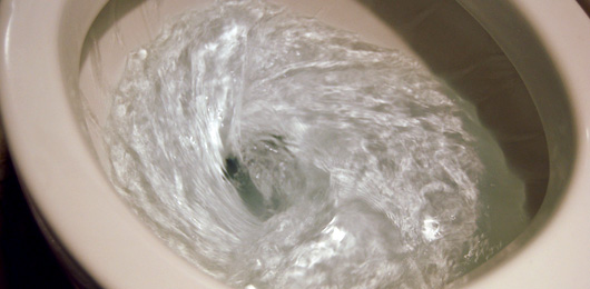 toilet1.jpg