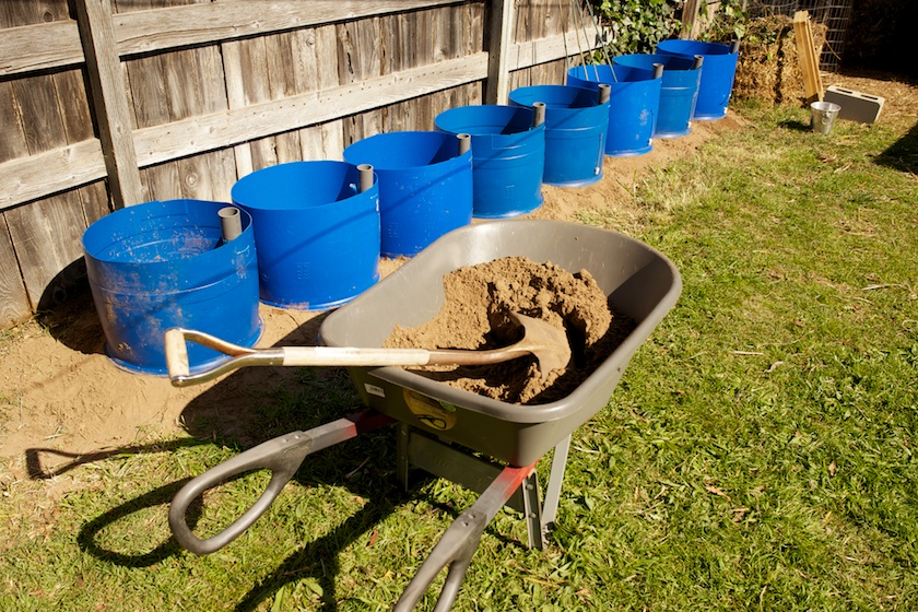 tomato planter barrels 1.jpg