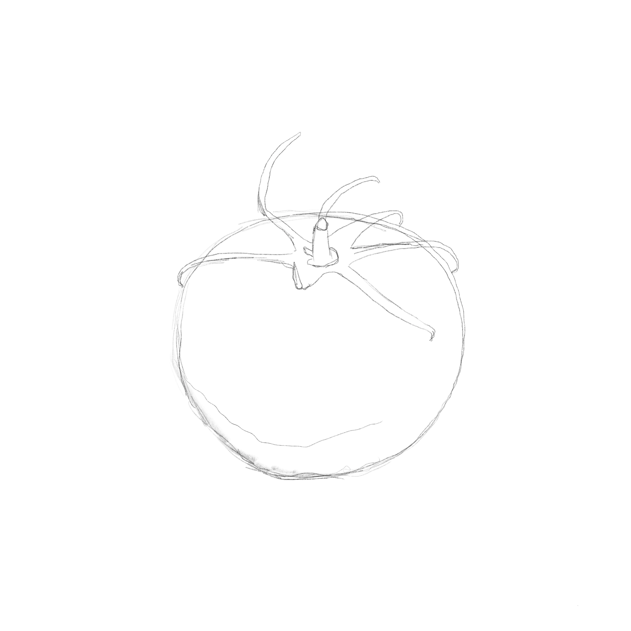 tomato1.png