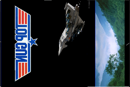 top gun copy.jpg