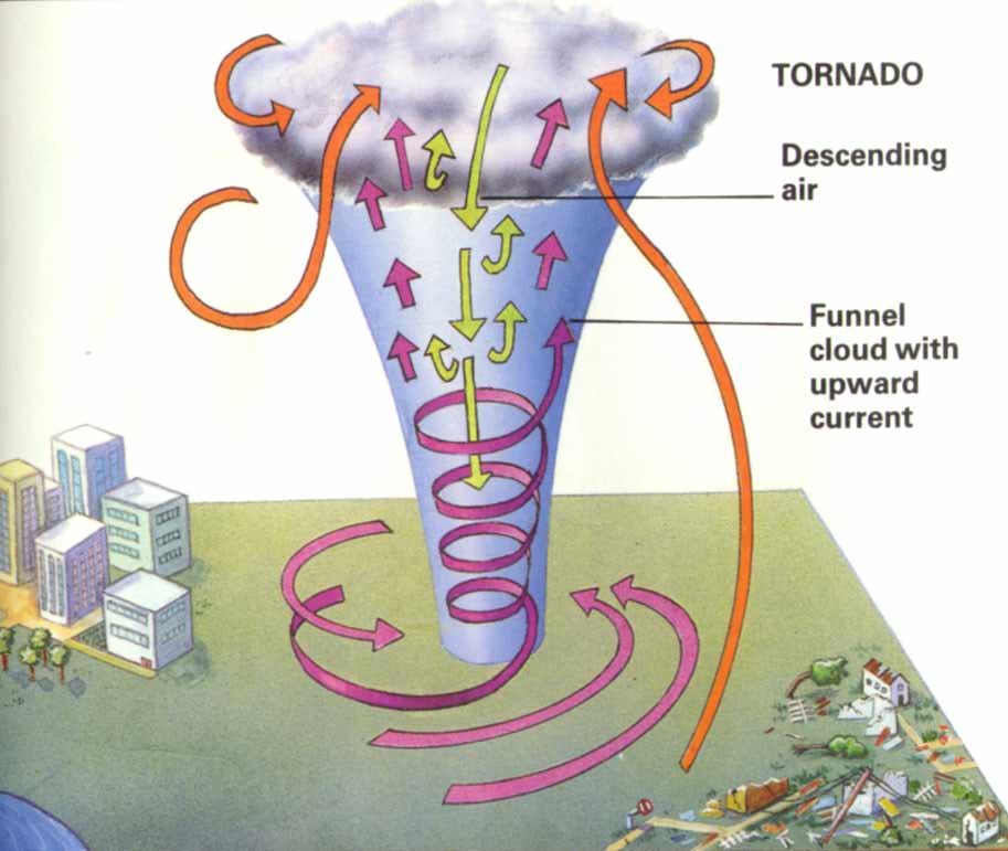 tornadodiagram.jpg