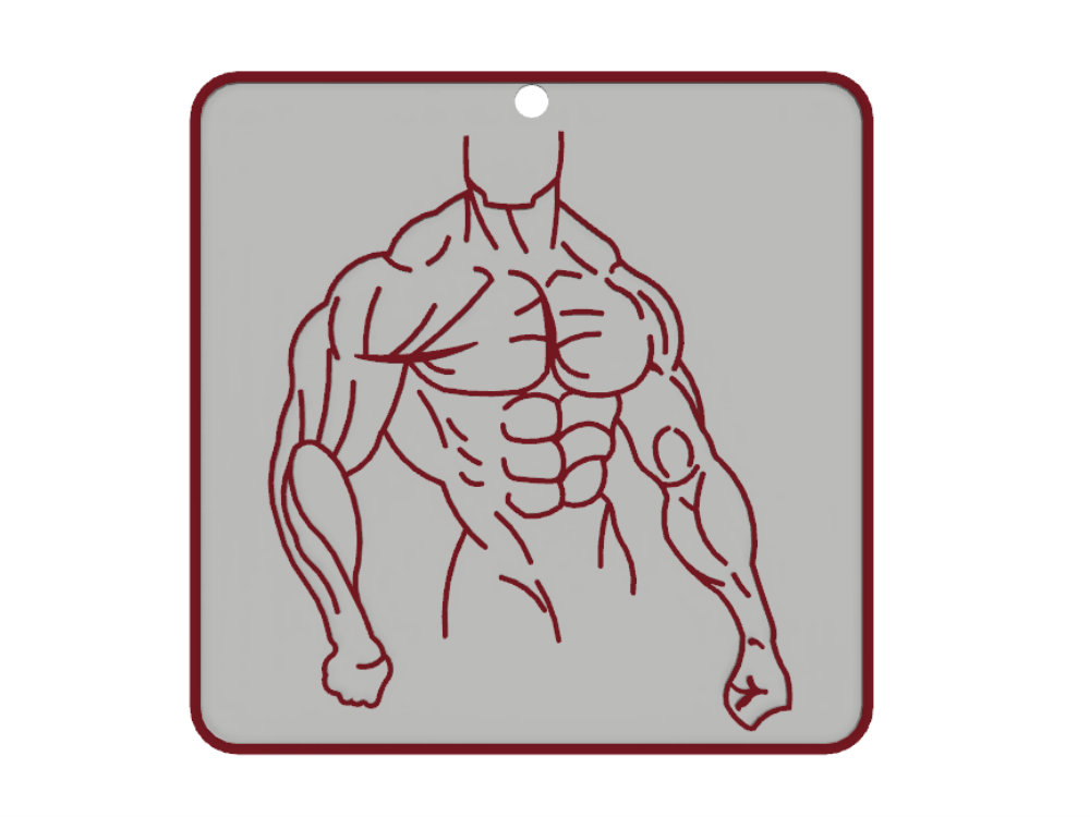 torso gym.jpg