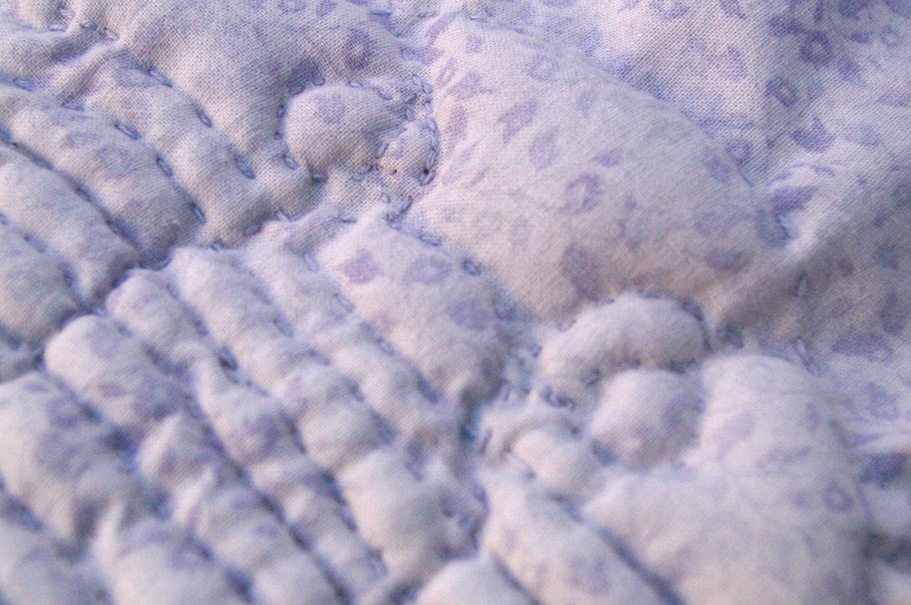 trapunto chephalon close up.JPG