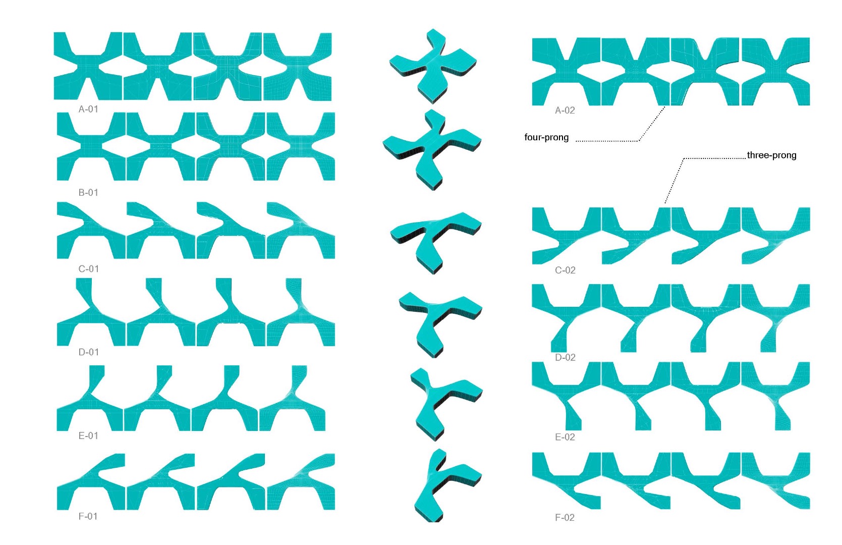 treefoil_cells_taxonomy_150928_Page_03.jpg