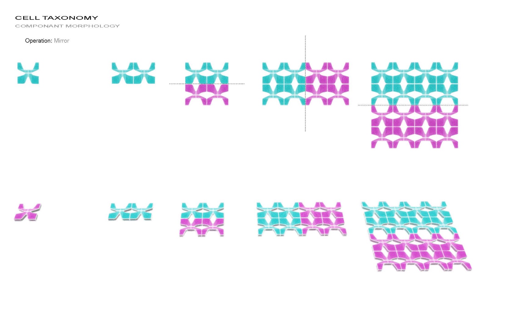 treefoil_cells_taxonomy_150928_Page_04.jpg