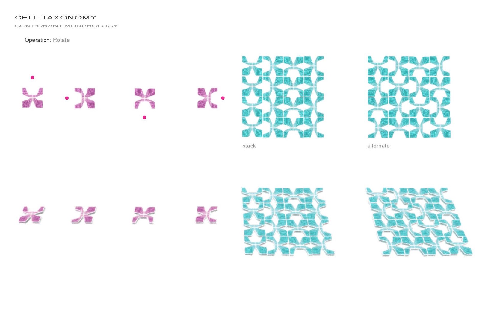 treefoil_cells_taxonomy_150928_Page_06.jpg