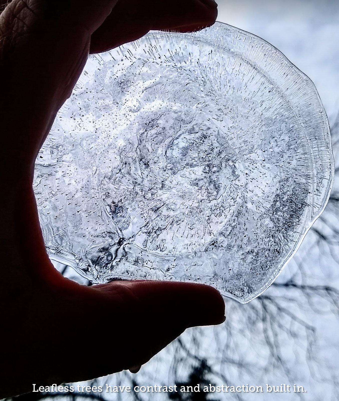 trees-through-ice.jpg