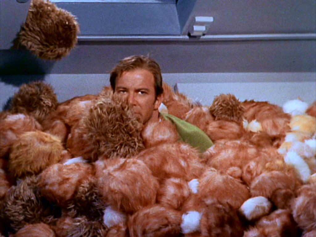 tribbles1.jpg