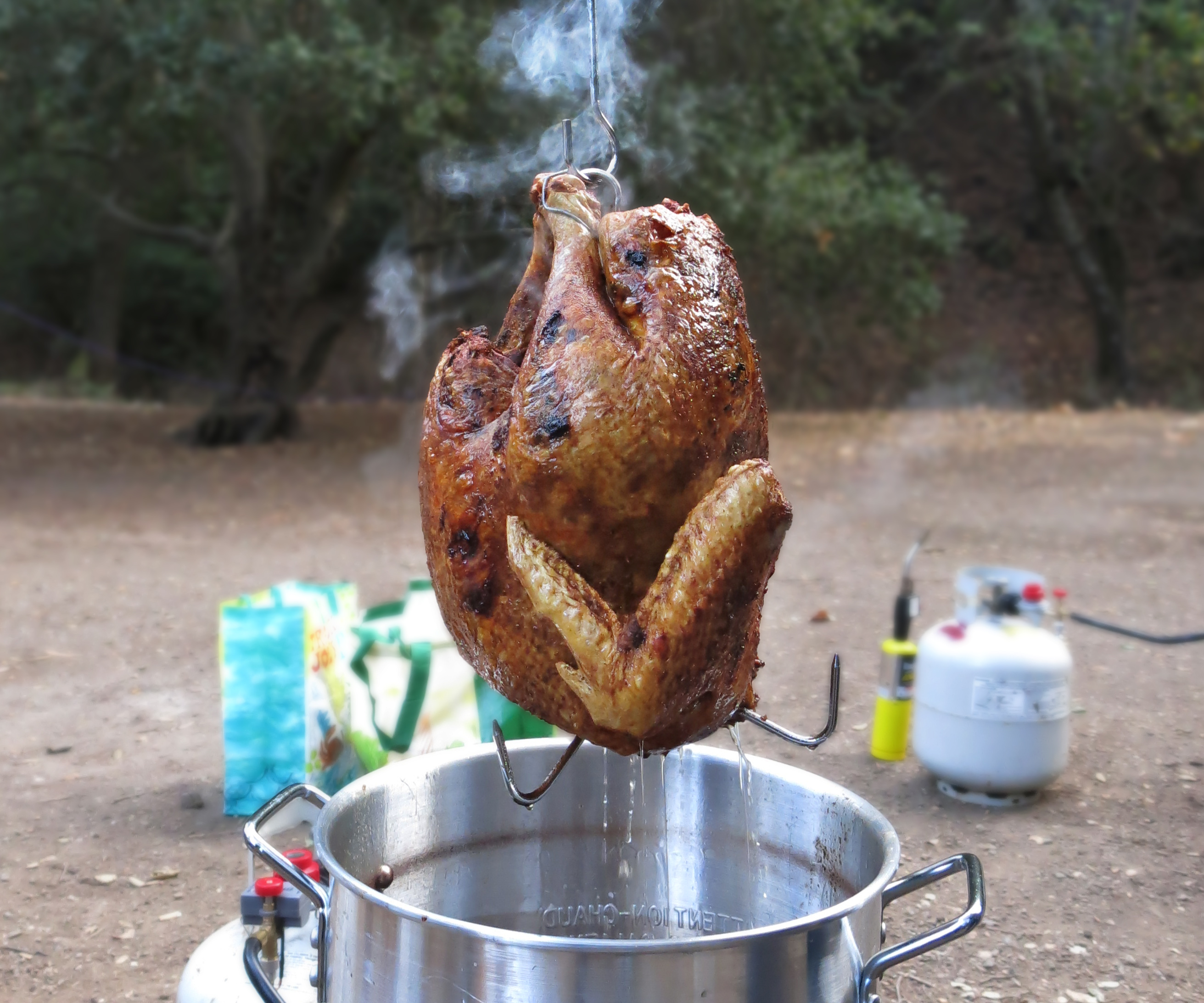 turkey.jpg