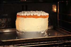 turkey_cake_step10_300.jpg