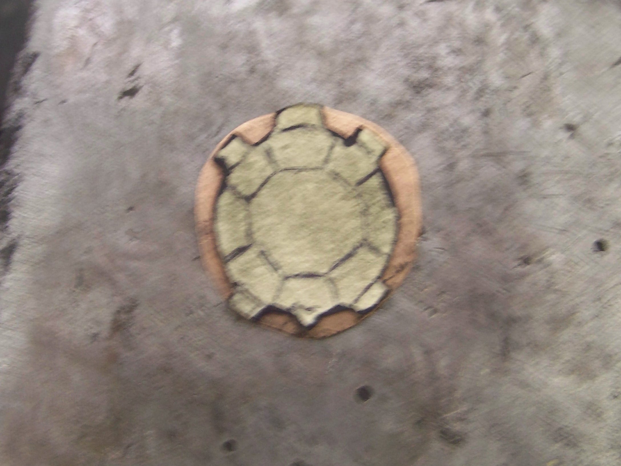 turtle hammered template.jpg