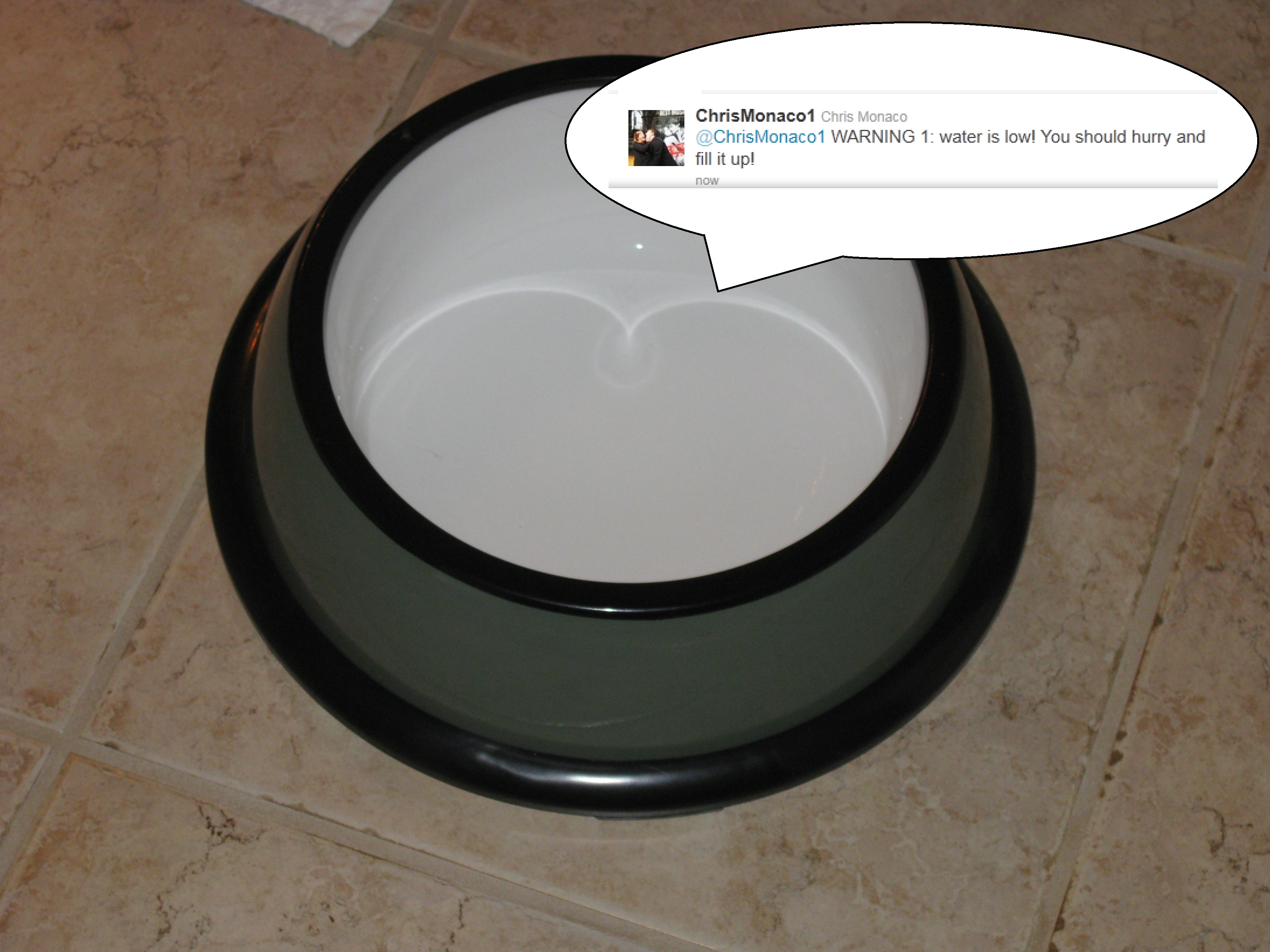 tweetingbowl.jpg