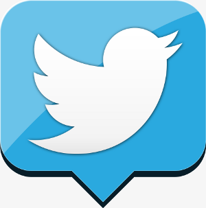 twitter-icon-300x303.png