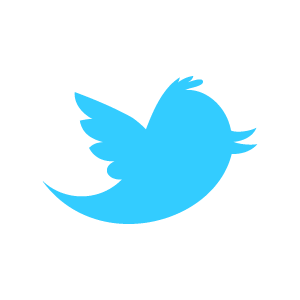 twitter_newbird_boxed_blueonwhite.png