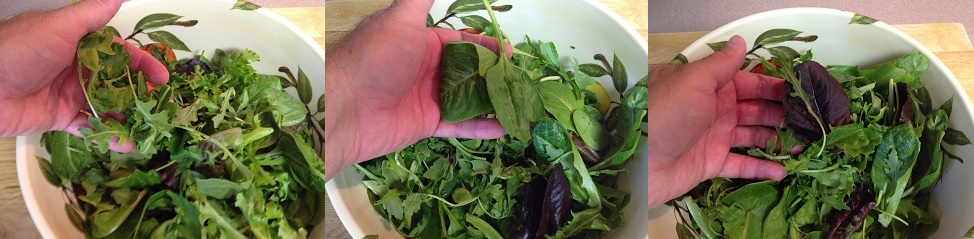 types of lettuse greens used in Watermelon Goat Cheese Salad.jpg