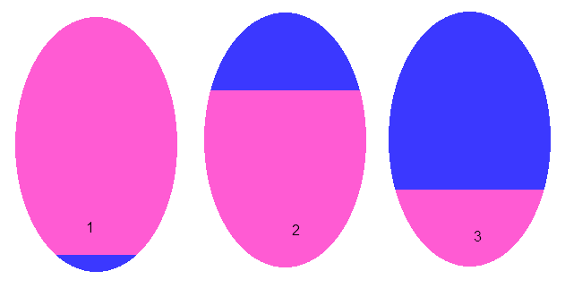types.png