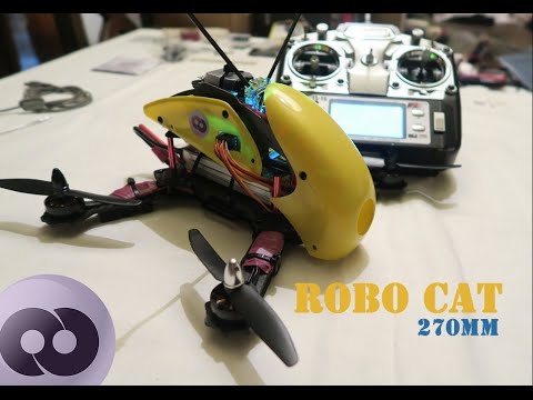 unboxing RoboCat 270 Project DIY -  All You need for build your Drone.