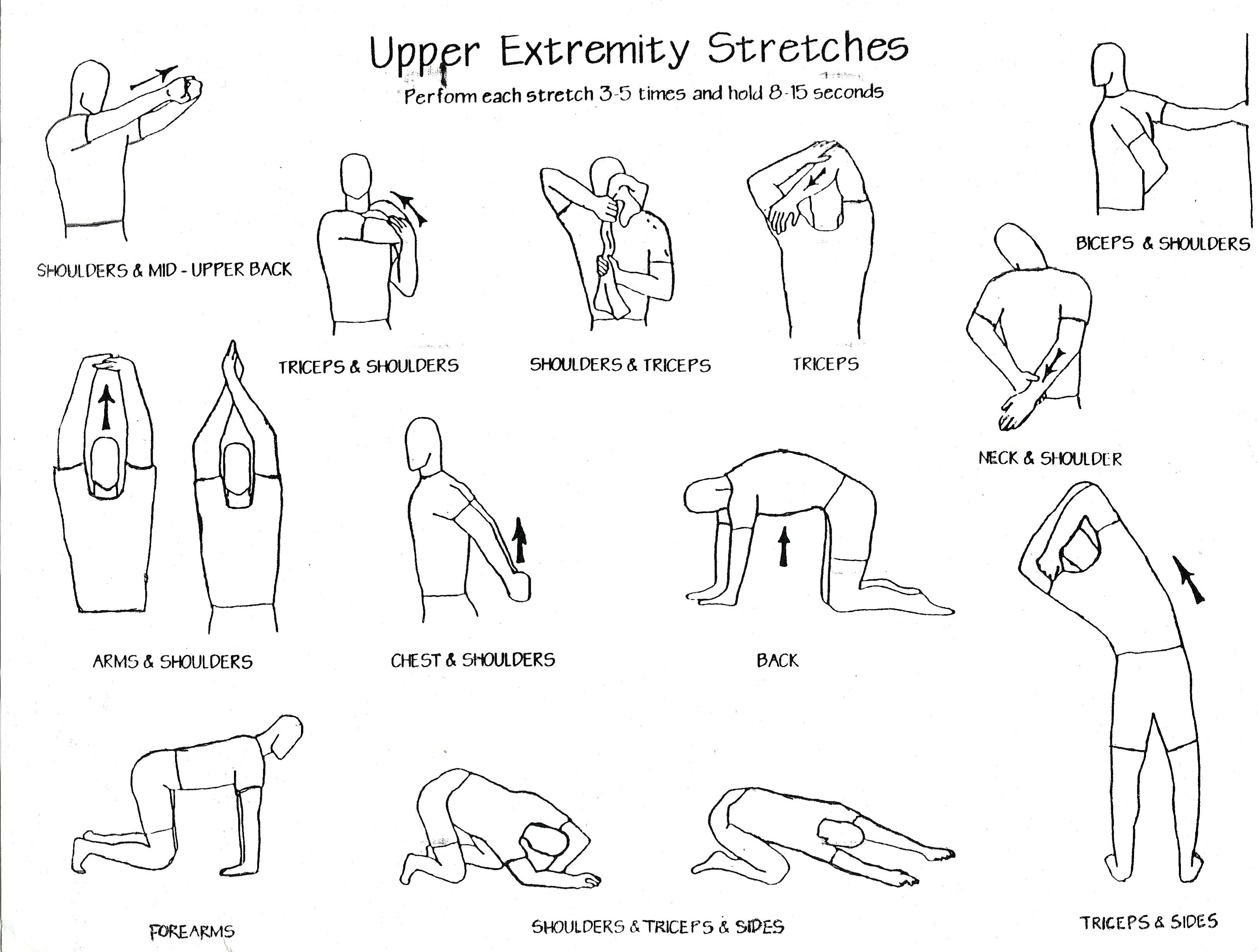 upper-body-stretches.jpg