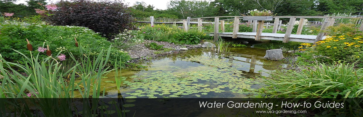 usa-water-gardening.jpg