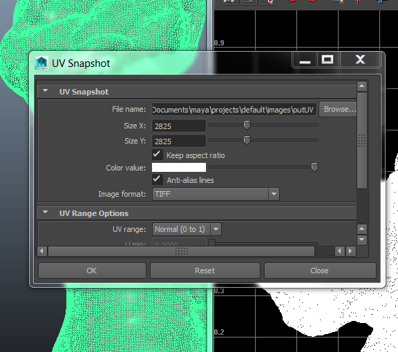 uv map capture.PNG