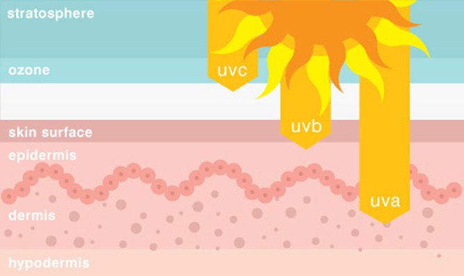 uva-uvb-uvc-difference.jpg