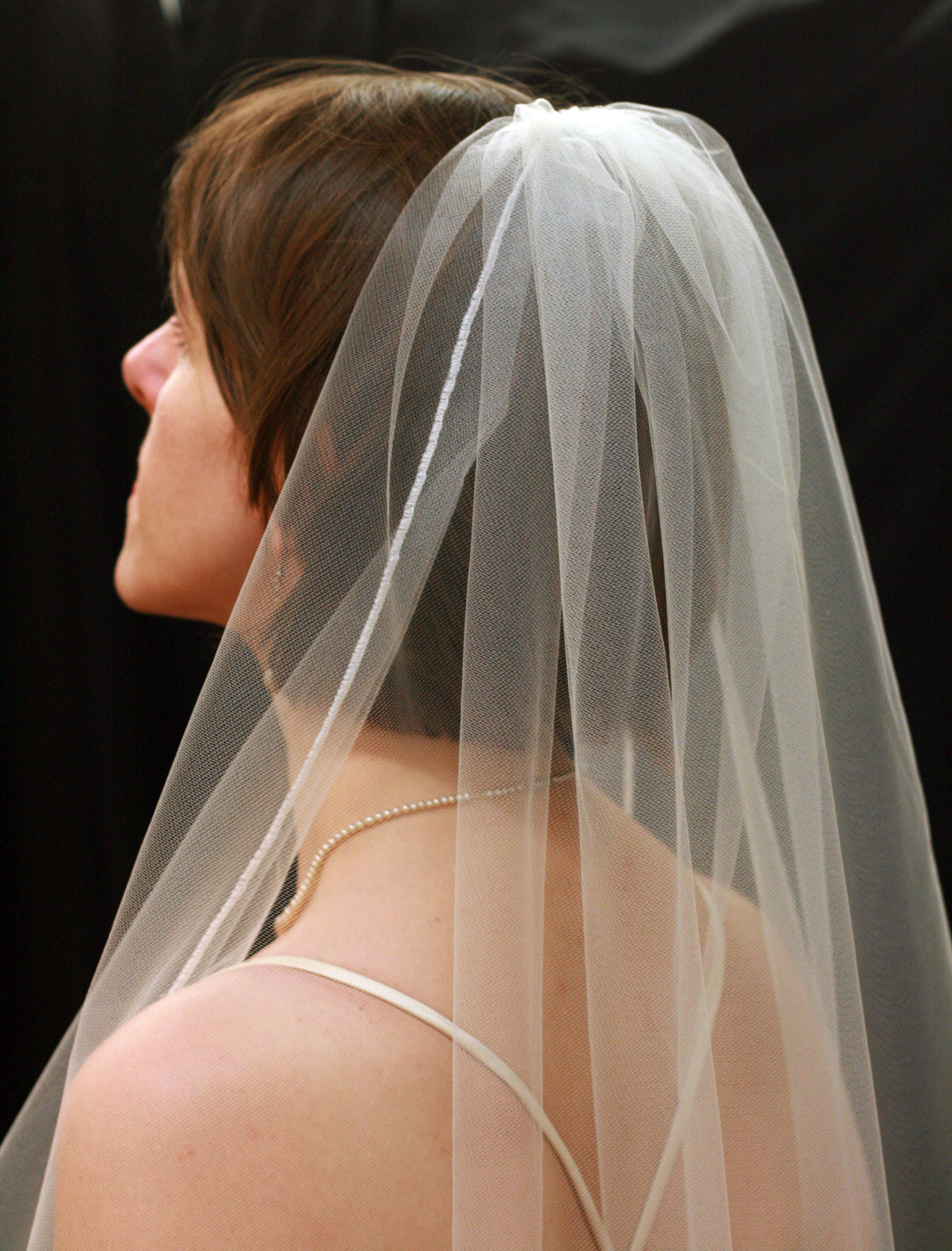 veil close up.jpg