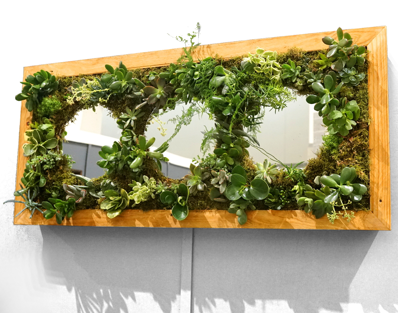 vertical garden headboard 1.JPG