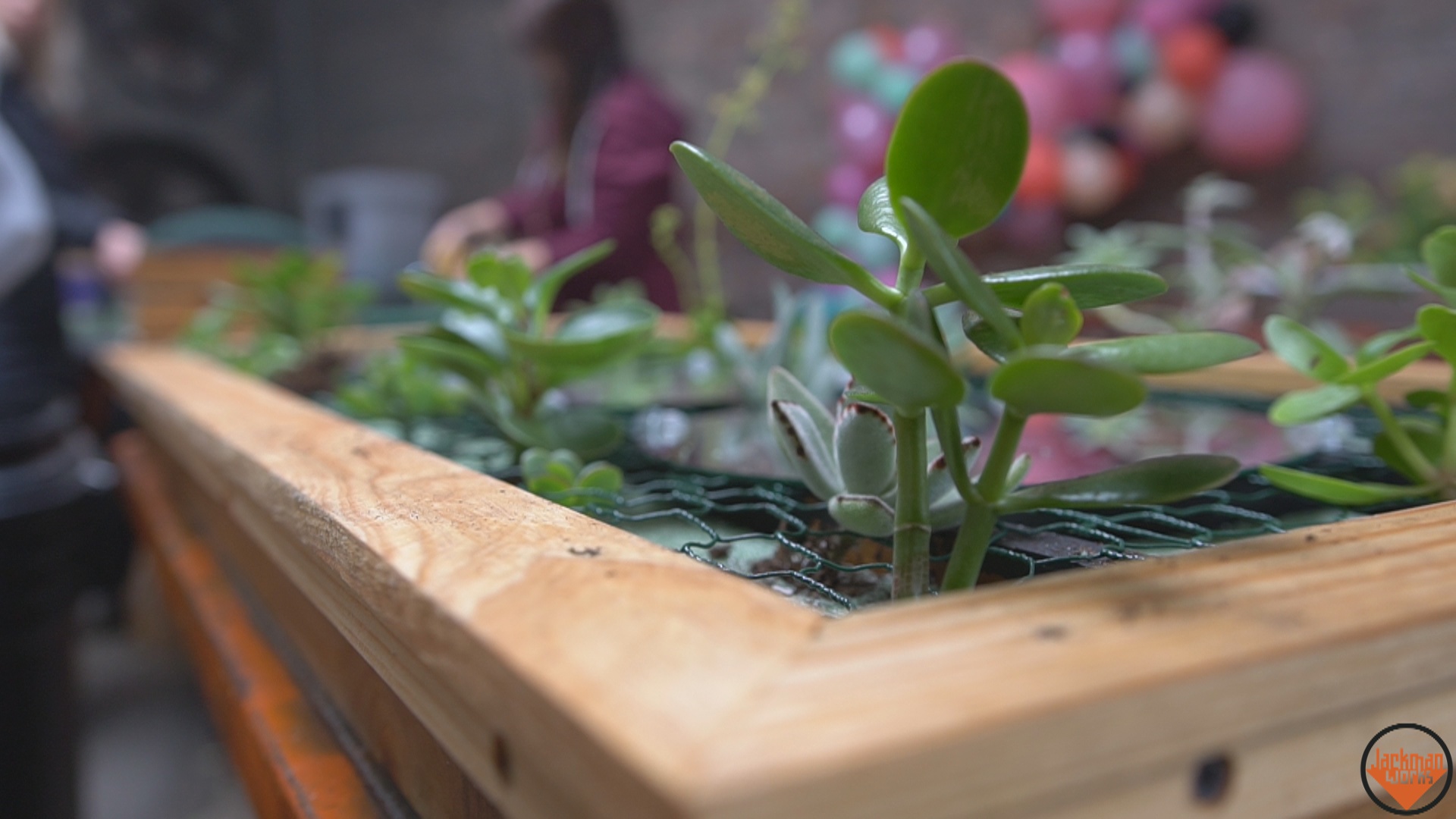 vertical garden headboard 22.jpg