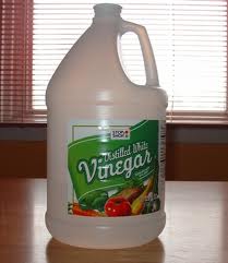 vinegar.jpg