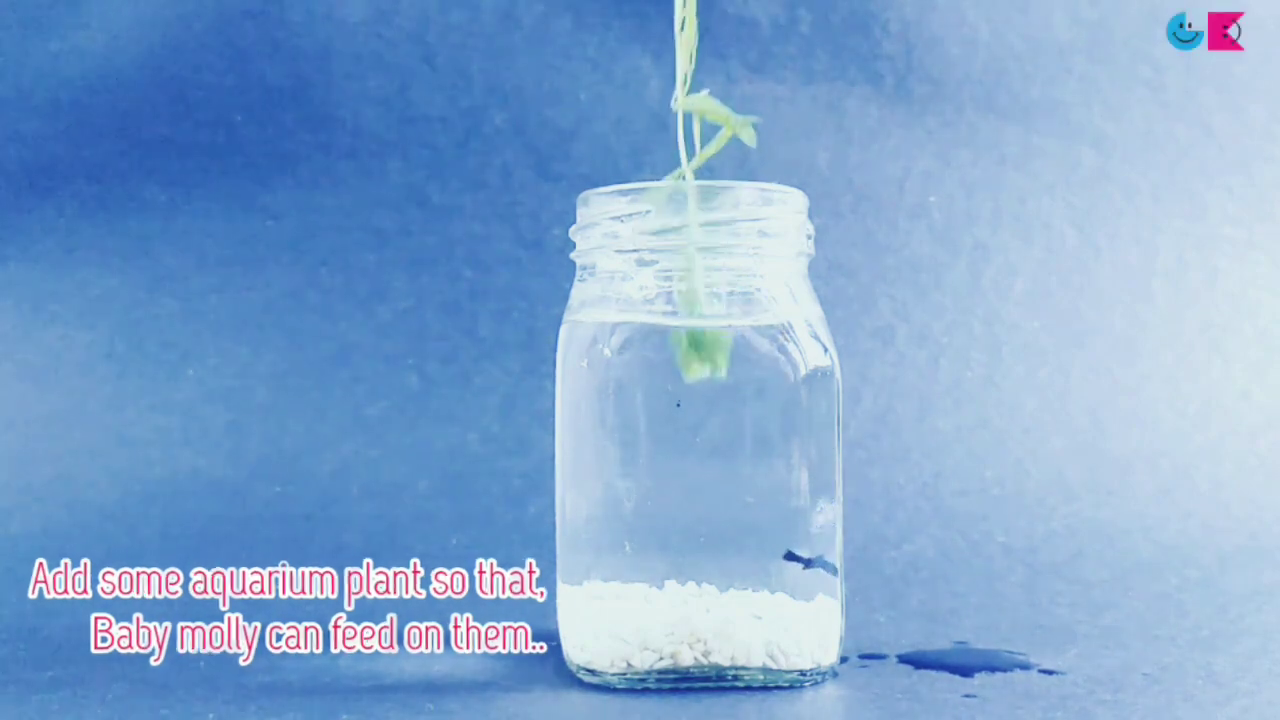 vlcsnap-2021-04-07-14h48m04s256.png