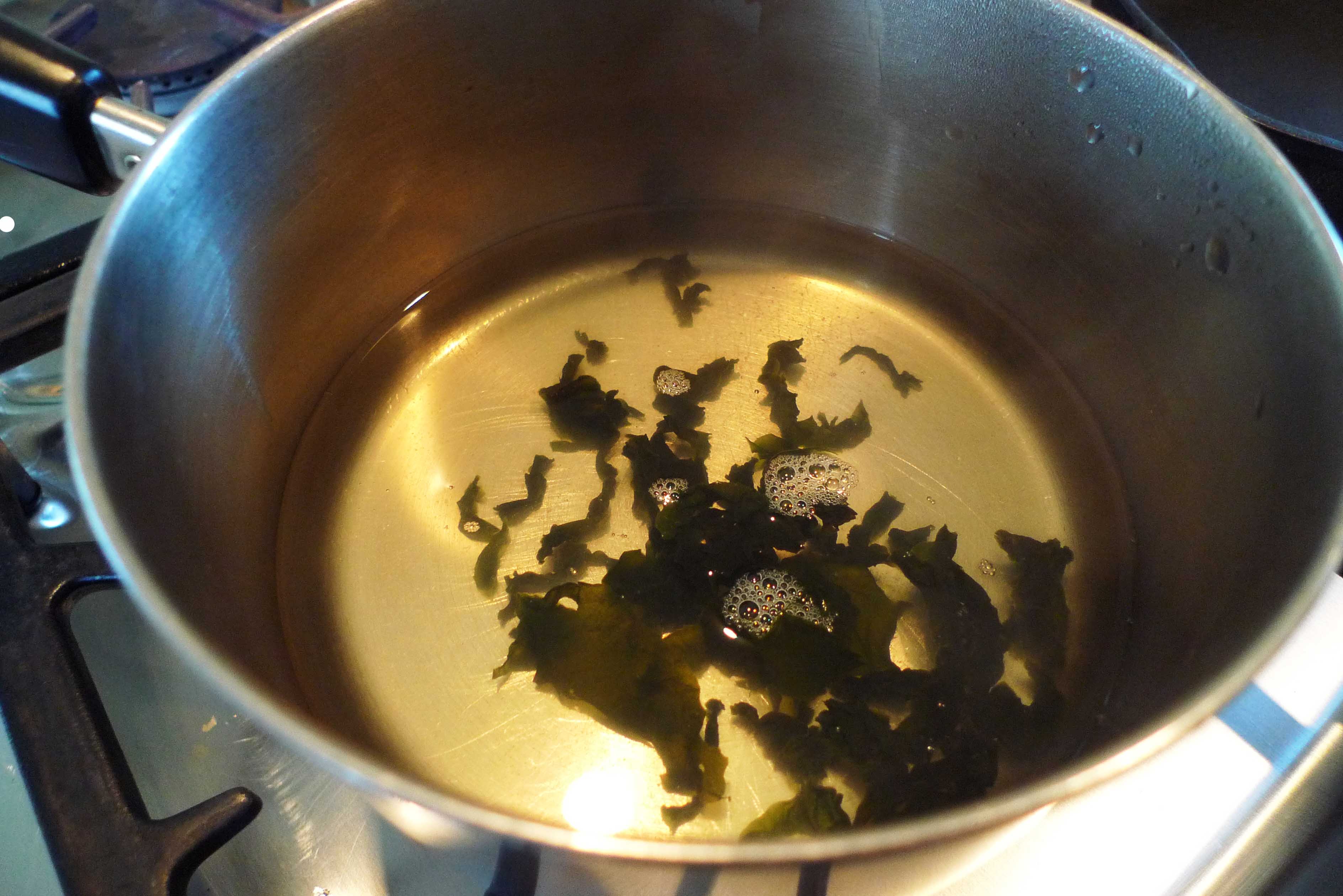 wakame in pot.jpg