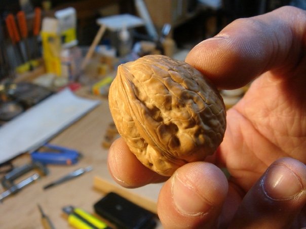 walnut full.jpg