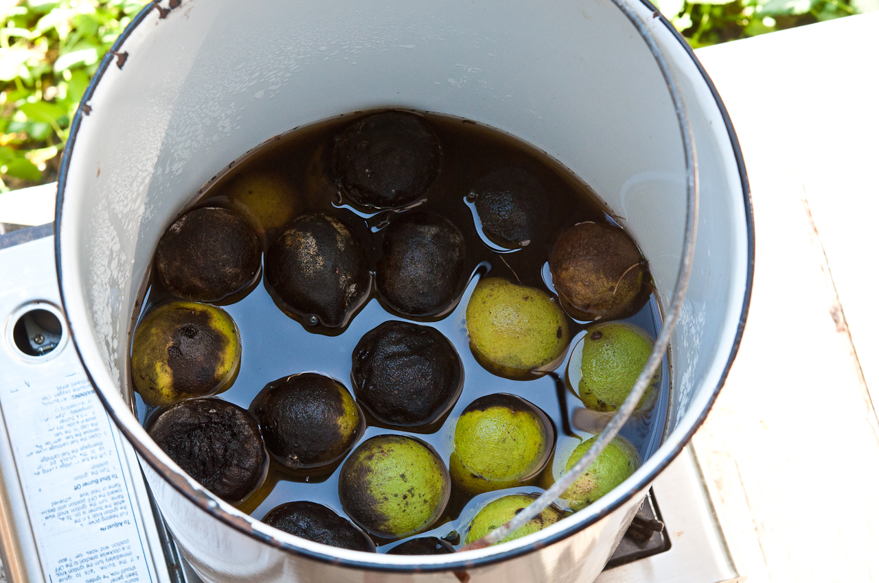 walnuts in dye pot-2444.jpg