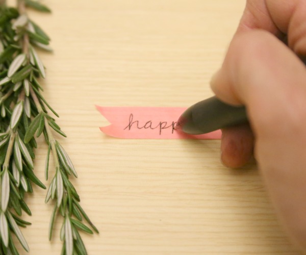 washi sprig write.jpg