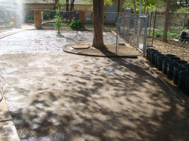 watering grass seed.JPG