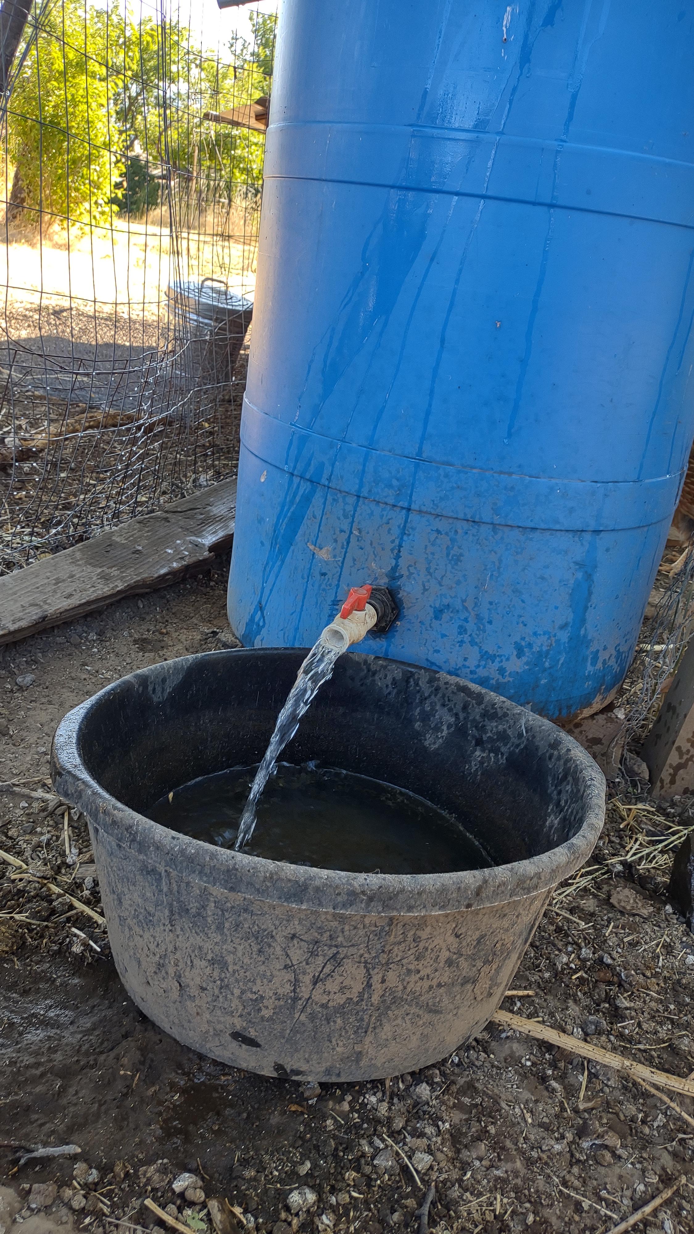 watering the water.jpg