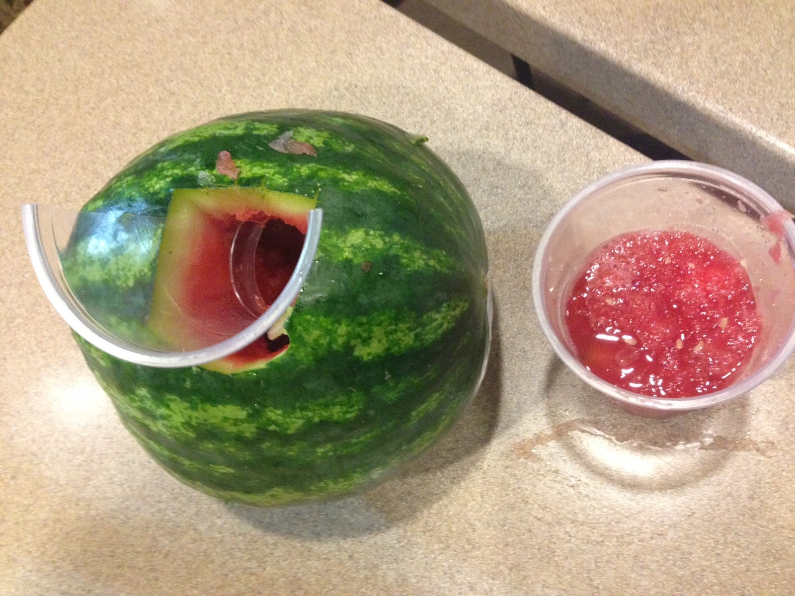 watermelon 8.jpg