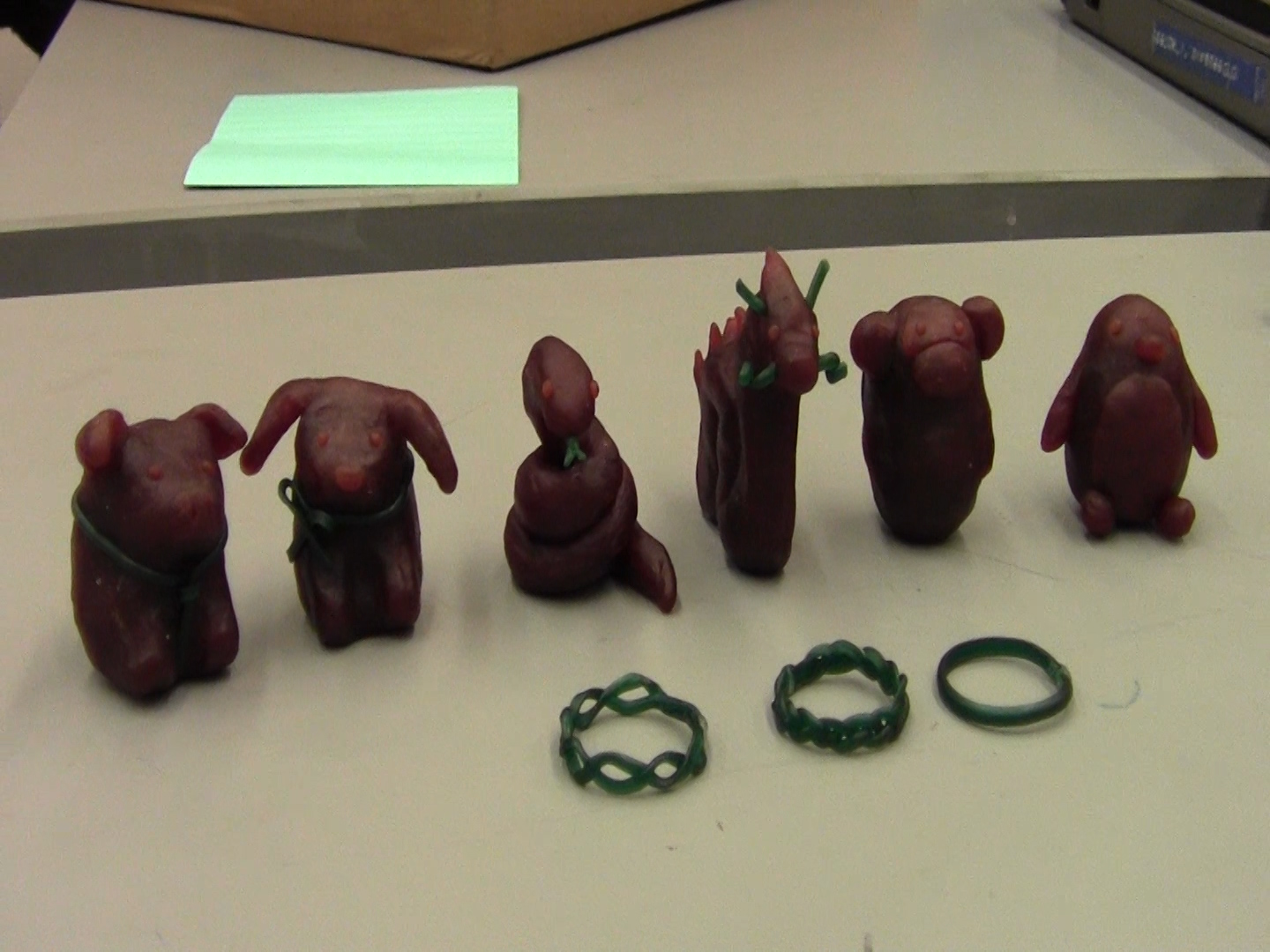 wax animals.jpg