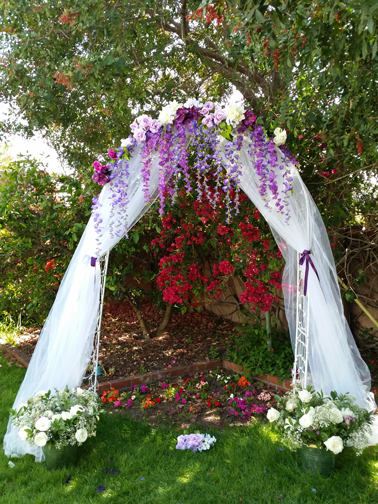 wedding arch.jpg