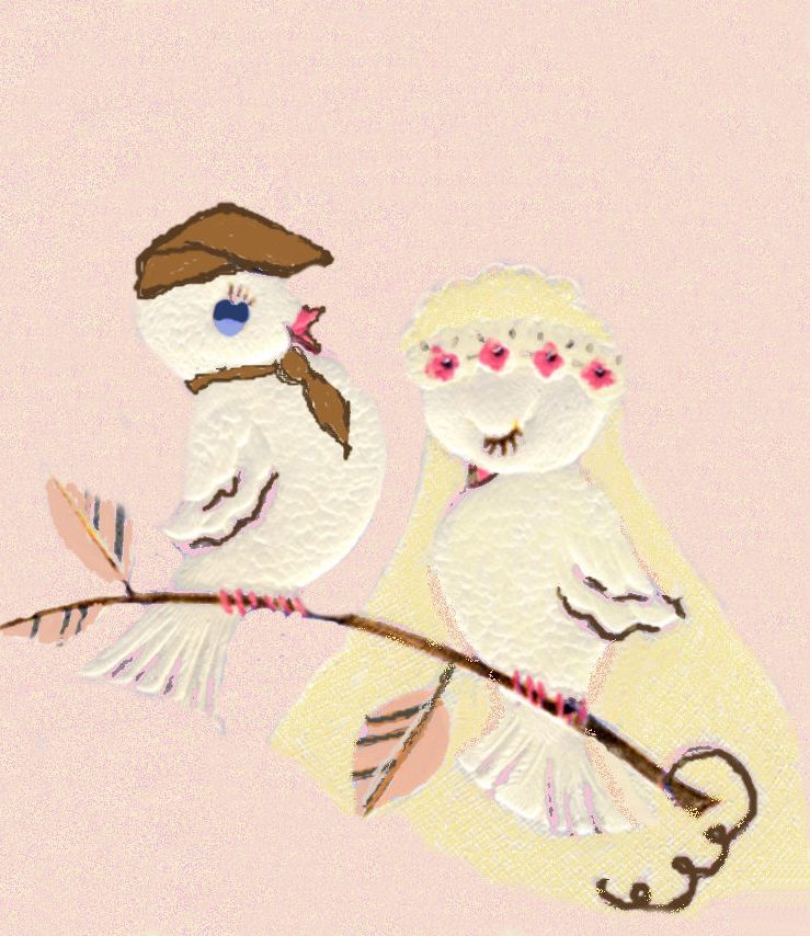 wedding92adifferent veiljust birdsallpink.png