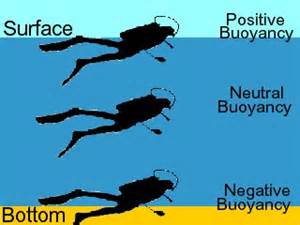 what-is-neutral-buoyancy_3.jpg