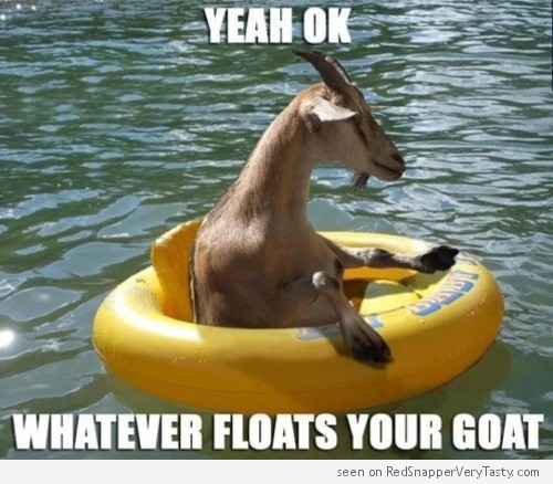 whatever-floats-your-goat-500x438.jpg