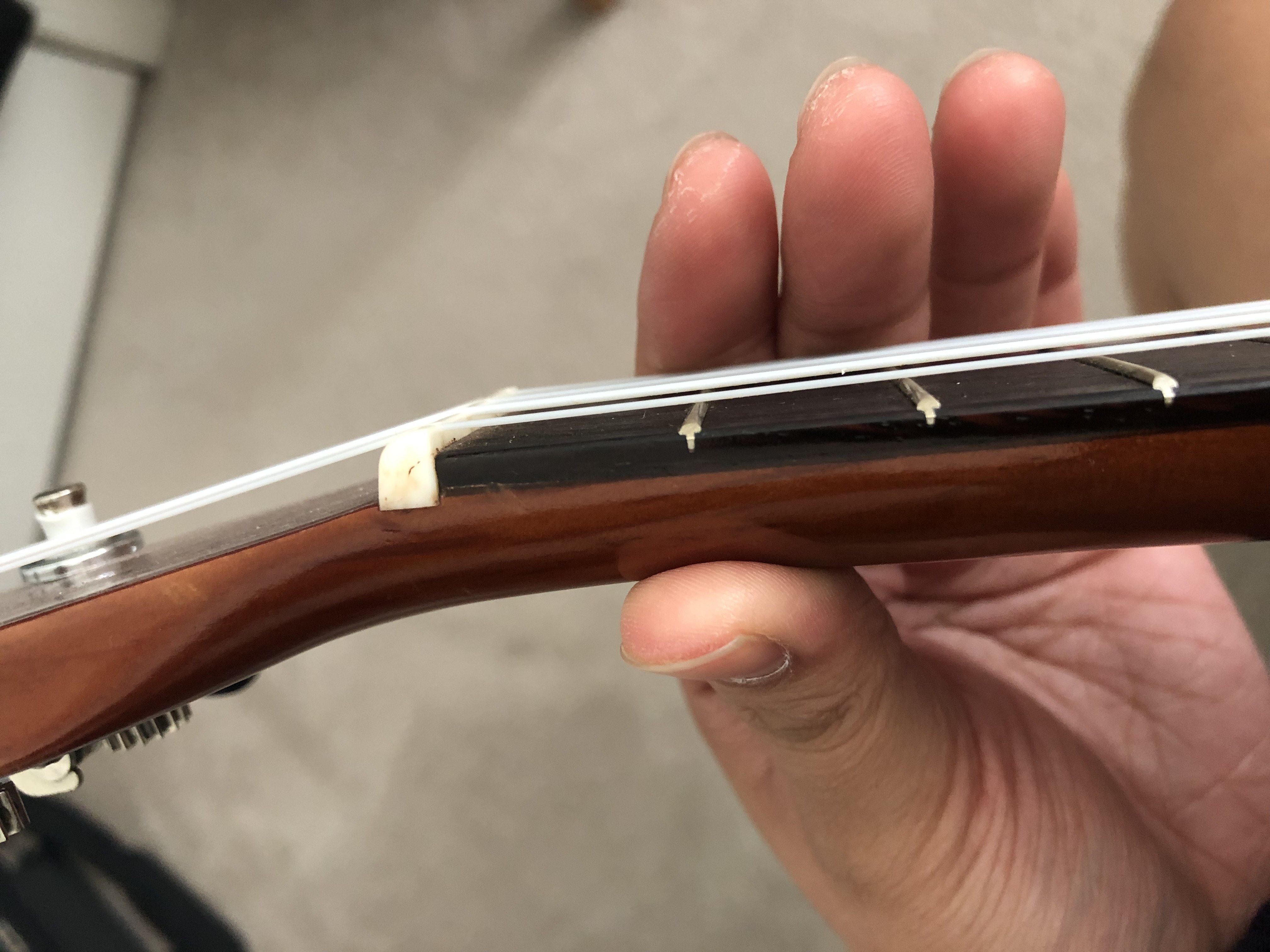 where thumb goes on neck of ukulele.jpeg