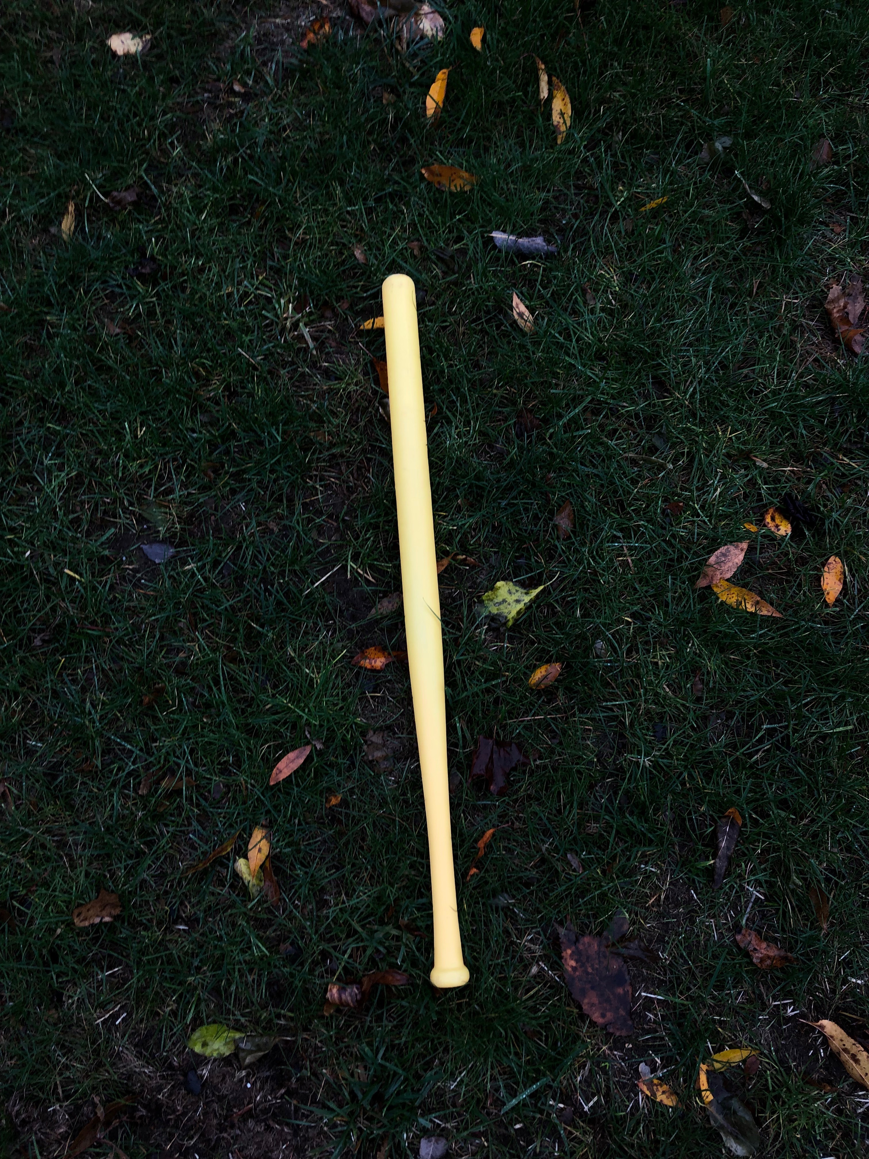 wiffle bat.jpg