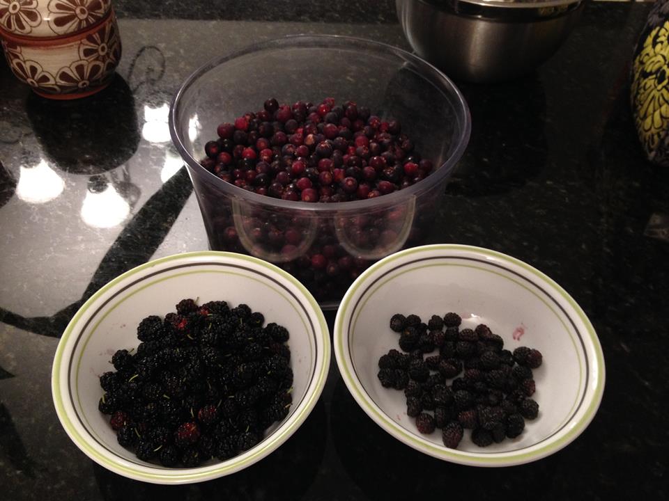 wild berries.jpg